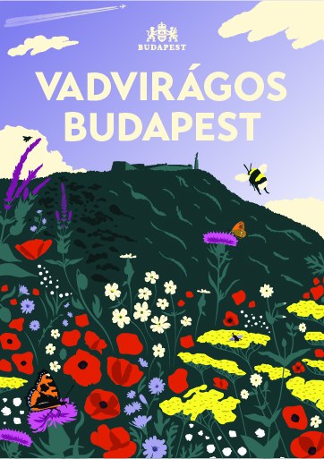 Vadvirágos Budapest illustrated poster